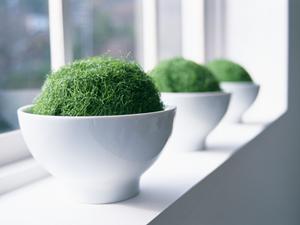 神奈川県横浜市にあるタカラスタンダード横浜ショールームの詳細情報と特徴