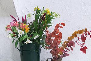 インテリアについて情報をお届けします