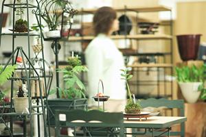 シーリングファンの重要性をご紹介します