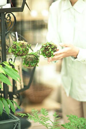 ドアのリフォームをするメリットを知る