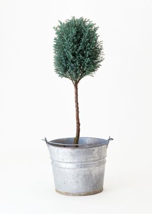 神戸HDCショールーム｜タカラスタンダードの最新設備と快適な住環境を体感できる店舗情報